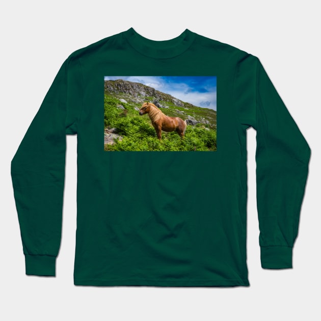 Welsh Mountain Pony Long Sleeve T-Shirt by Adrian Evans Photography